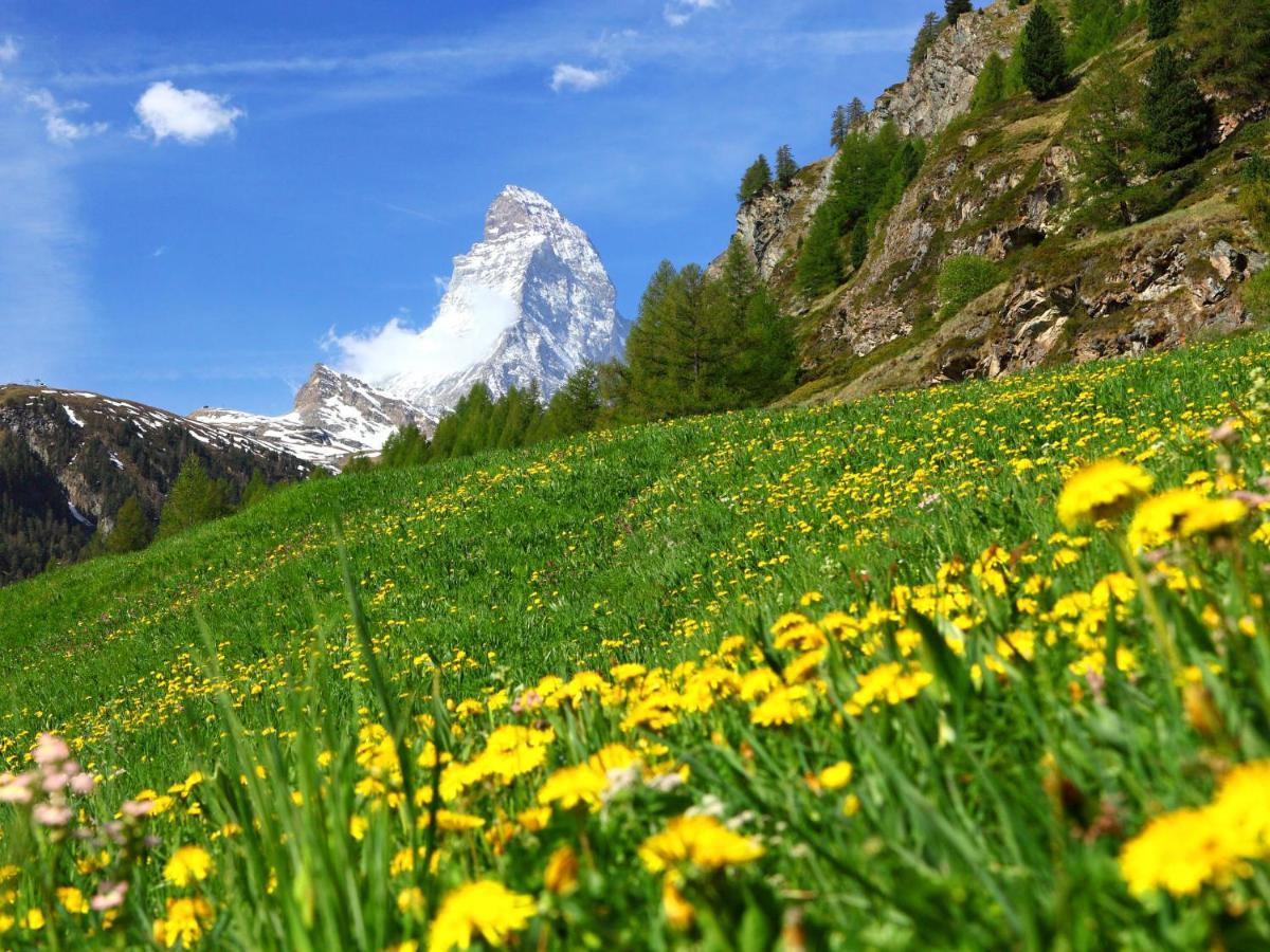 Apartment La Prairie By Interhome Zermatt Ngoại thất bức ảnh